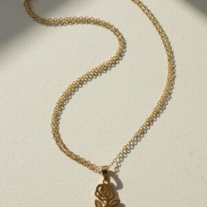 سلسله استانلس