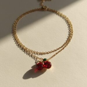 سلسله استانلس