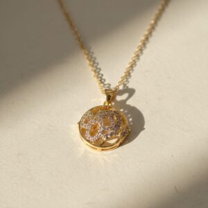 سلسله استانلس