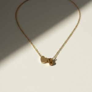 سلسله استانلس