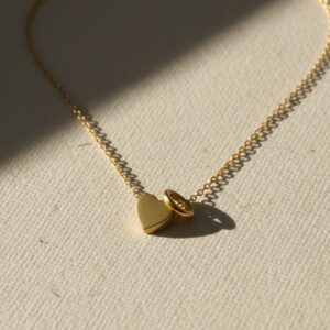 سلسله استانلس حرف D